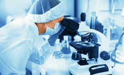 Taking charge: project managers in the life sciences sector