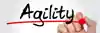 Agile.jpg