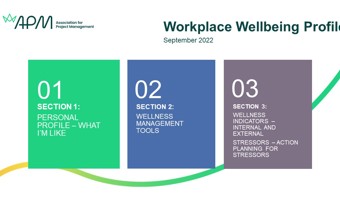 Workplace Wellbeing Profile