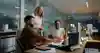 Navigating project uncertainty
