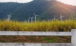 Project managers and sustainability survey