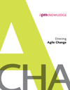 Directing Agile Change Cover