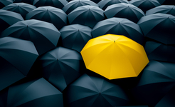 APM unveils five new Honorary Fellows 