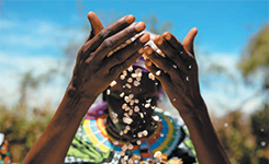 NGO Challenge 245X150